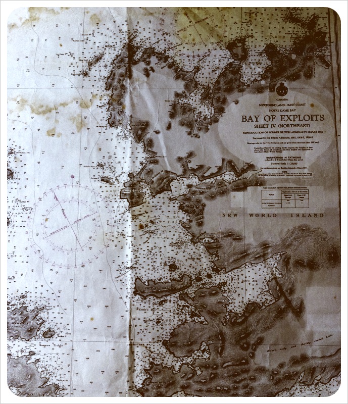 Christina Wells, Writer